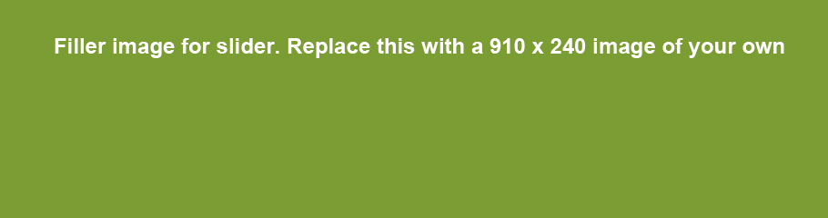 Slider Image